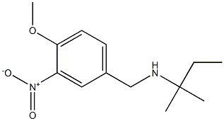 [(4-methoxy-3-nitrophenyl)methyl](2-methylbutan-2-yl)amine Struktur