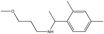 [1-(2,4-dimethylphenyl)ethyl](3-methoxypropyl)amine Struktur