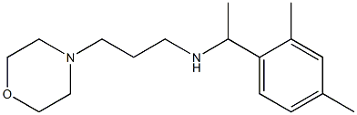 [1-(2,4-dimethylphenyl)ethyl][3-(morpholin-4-yl)propyl]amine Struktur