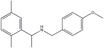 [1-(2,5-dimethylphenyl)ethyl][(4-methoxyphenyl)methyl]amine Struktur