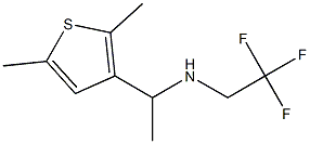 [1-(2,5-dimethylthiophen-3-yl)ethyl](2,2,2-trifluoroethyl)amine Struktur