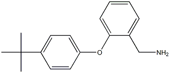 [2-(4-tert-butylphenoxy)phenyl]methanamine Struktur