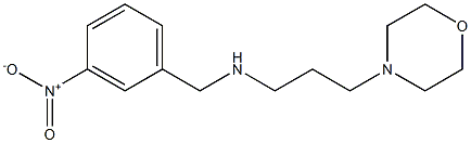 [3-(morpholin-4-yl)propyl][(3-nitrophenyl)methyl]amine Struktur