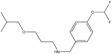 {[4-(difluoromethoxy)phenyl]methyl}[3-(2-methylpropoxy)propyl]amine Struktur