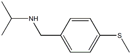 {[4-(methylsulfanyl)phenyl]methyl}(propan-2-yl)amine Struktur