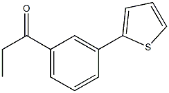 1-(3-thien-2-ylphenyl)propan-1-one Struktur