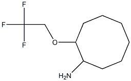 2-(2,2,2-trifluoroethoxy)cyclooctanamine Struktur