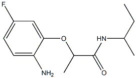 2-(2-amino-5-fluorophenoxy)-N-(butan-2-yl)propanamide Struktur