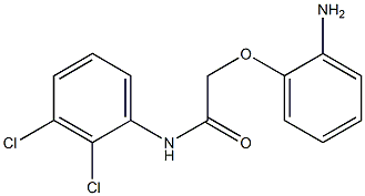 2-(2-aminophenoxy)-N-(2,3-dichlorophenyl)acetamide Struktur