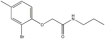 2-(2-bromo-4-methylphenoxy)-N-propylacetamide Struktur