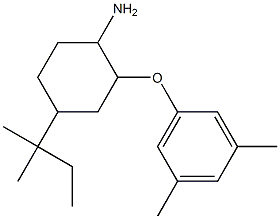 2-(3,5-dimethylphenoxy)-4-(2-methylbutan-2-yl)cyclohexan-1-amine Struktur