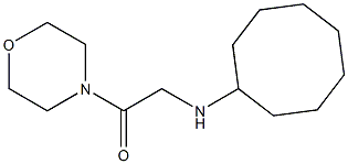 2-(cyclooctylamino)-1-(morpholin-4-yl)ethan-1-one Struktur