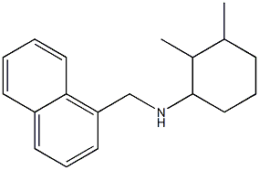 2,3-dimethyl-N-(naphthalen-1-ylmethyl)cyclohexan-1-amine Struktur