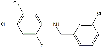 2,4,5-trichloro-N-[(3-chlorophenyl)methyl]aniline Struktur