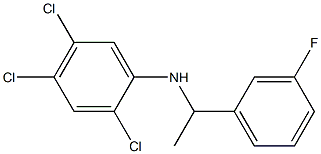 2,4,5-trichloro-N-[1-(3-fluorophenyl)ethyl]aniline Struktur