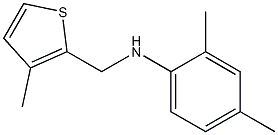 2,4-dimethyl-N-[(3-methylthiophen-2-yl)methyl]aniline Struktur