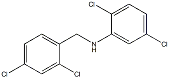 2,5-dichloro-N-[(2,4-dichlorophenyl)methyl]aniline Struktur