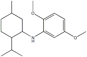 2,5-dimethoxy-N-[5-methyl-2-(propan-2-yl)cyclohexyl]aniline Struktur