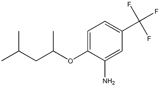 2-[(4-methylpentan-2-yl)oxy]-5-(trifluoromethyl)aniline Struktur