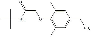 2-[4-(aminomethyl)-2,6-dimethylphenoxy]-N-tert-butylacetamide Struktur