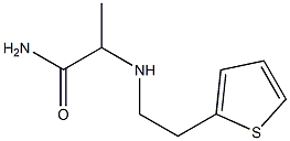 2-{[2-(thiophen-2-yl)ethyl]amino}propanamide Struktur