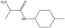 2-amino-N-(4-methylcyclohexyl)propanamide Struktur