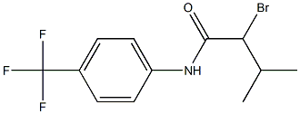 2-bromo-3-methyl-N-[4-(trifluoromethyl)phenyl]butanamide Struktur