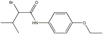 2-bromo-N-(4-ethoxyphenyl)-3-methylbutanamide Struktur