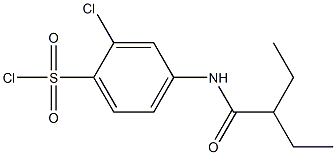 2-chloro-4-(2-ethylbutanamido)benzene-1-sulfonyl chloride Struktur