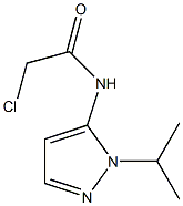 2-chloro-N-[1-(propan-2-yl)-1H-pyrazol-5-yl]acetamide Struktur