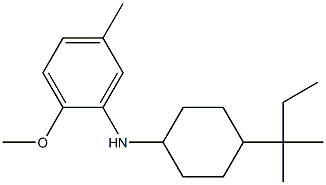 2-methoxy-5-methyl-N-[4-(2-methylbutan-2-yl)cyclohexyl]aniline Struktur