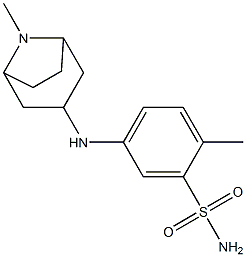 2-methyl-5-({8-methyl-8-azabicyclo[3.2.1]octan-3-yl}amino)benzene-1-sulfonamide Struktur