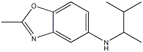 2-methyl-N-(3-methylbutan-2-yl)-1,3-benzoxazol-5-amine Struktur