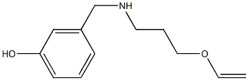 3-({[3-(ethenyloxy)propyl]amino}methyl)phenol Struktur