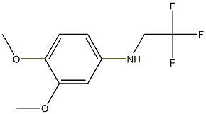 3,4-dimethoxy-N-(2,2,2-trifluoroethyl)aniline Struktur