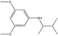 3,5-dimethoxy-N-(3-methylbutan-2-yl)aniline Struktur