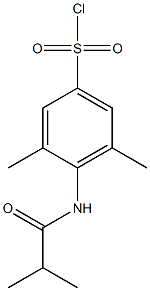 3,5-dimethyl-4-(2-methylpropanamido)benzene-1-sulfonyl chloride Struktur