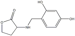 3-{[(2,4-dihydroxyphenyl)methyl]amino}oxolan-2-one Struktur