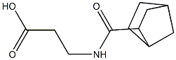 3-{bicyclo[2.2.1]heptan-2-ylformamido}propanoic acid Struktur