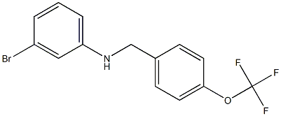 3-bromo-N-{[4-(trifluoromethoxy)phenyl]methyl}aniline Struktur