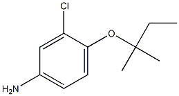 3-chloro-4-[(2-methylbutan-2-yl)oxy]aniline Struktur