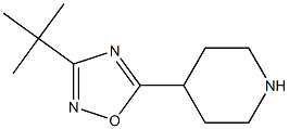 3-tert-butyl-5-(piperidin-4-yl)-1,2,4-oxadiazole Struktur