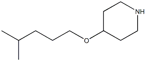 4-[(4-methylpentyl)oxy]piperidine Struktur