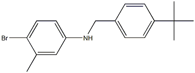 4-bromo-N-[(4-tert-butylphenyl)methyl]-3-methylaniline Struktur