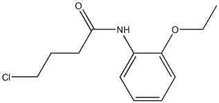 4-chloro-N-(2-ethoxyphenyl)butanamide Struktur