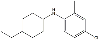 4-chloro-N-(4-ethylcyclohexyl)-2-methylaniline Struktur