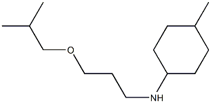 4-methyl-N-[3-(2-methylpropoxy)propyl]cyclohexan-1-amine Struktur