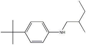 4-tert-butyl-N-(2-methylbutyl)aniline Struktur