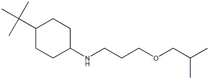 4-tert-butyl-N-[3-(2-methylpropoxy)propyl]cyclohexan-1-amine Struktur