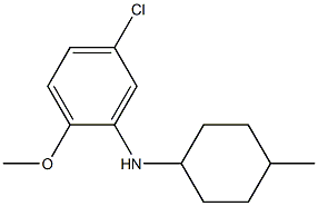 5-chloro-2-methoxy-N-(4-methylcyclohexyl)aniline Struktur